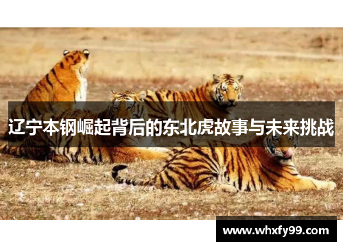 辽宁本钢崛起背后的东北虎故事与未来挑战 辽宁本钢崛起背后的东北虎故事与未来挑战
